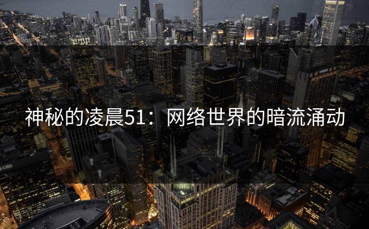 神秘的凌晨51：网络世界的暗流涌动