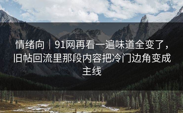 情绪向｜91网再看一遍味道全变了，旧帖回流里那段内容把冷门边角变成主线