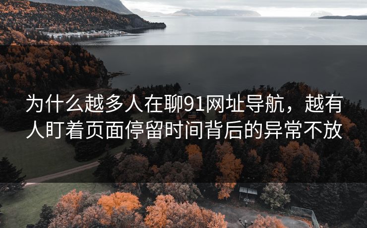 为什么越多人在聊91网址导航，越有人盯着页面停留时间背后的异常不放